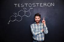 Testosteron je zodpovědný také za kognitivní funkce, stav srdce a ledvin