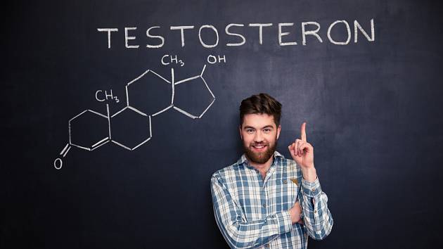 Testosteron je zodpovědný také za kognitivní funkce, stav srdce a ledvin