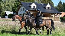 Mezi policejním jezdcem a jeho koněm i přes pracovní přísnost vzniká osobní vztah.