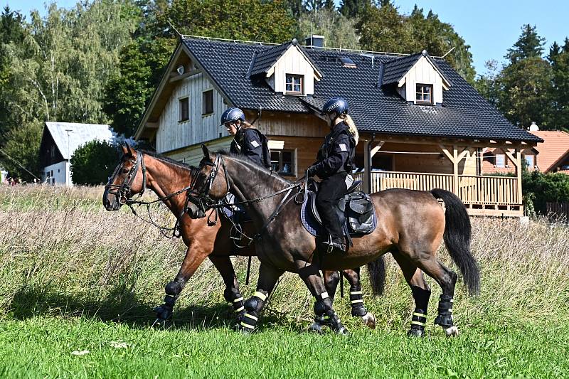 Mezi policejním jezdcem a jeho koněm i přes pracovní přísnost vzniká osobní vztah.