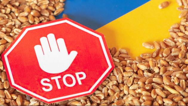 Polsko zakázalo dovážet obilí i vybrané potraviny z Ukrajiny