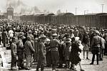 Selekce maďarských Židů na rampě v táboře Osvětim-II-Birkenau v květnu až červnu 1944, během závěrečné fáze holokaustu. Židé byli posláni buď do práce, nebo do plynové komory