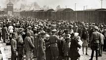 Selekce maďarských Židů na rampě v táboře Osvětim-II-Birkenau v květnu až červnu 1944, během závěrečné fáze holokaustu. Židé byli posláni buď do práce, nebo do plynové komory