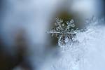 Snowflake - Illustration photo