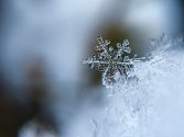 Sněhová vločka - Ilustrační foto