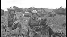 Mariňáci se psem na Iwodžimě