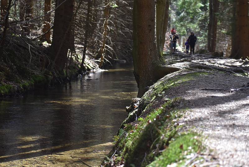 Horské lázně Karlova Studánka lákají klienty sloganem Naber sílu po covidu! Podstatou klimatoterapie je pohyb na čerstvém vzduchu.