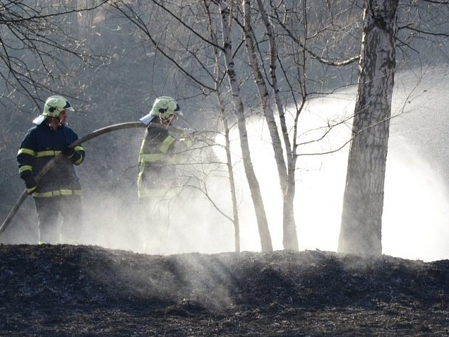 Požárů v lesích rychle přibývá, příčinou bývá nedbalost