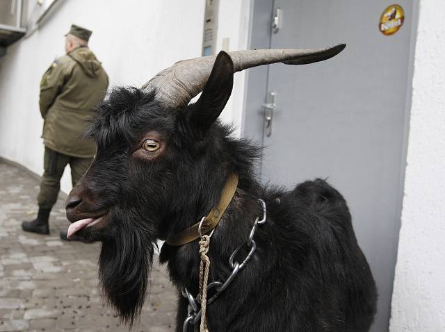 Demonstrace proti výrokům Miloše Zemana v Kyjevě.