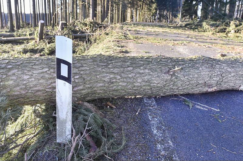 Spadlý strom přes silnici - ilustrační foto.