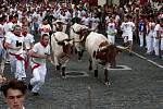 Běk s býky, součást sanfermineského festivalu v Pamploně