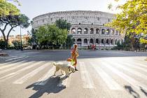 Kdo v Římě nevenčí svého psa, dostane pokutu