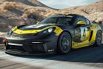 Porsche 718 Cayman GT4 Clubsport