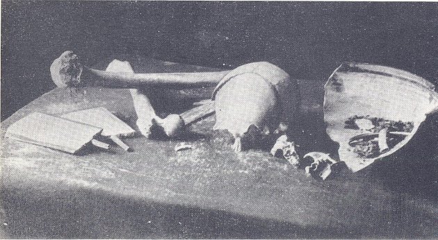 Kosterní pozůstatky z tzv. čáslavského nálezu. Některé z ostatků s velkou pravděpodobností náleží husitskému vojevůdci Janu Žižkovi