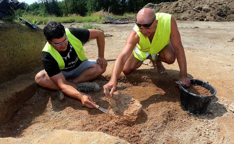 Archeologie je mravenčí práce.