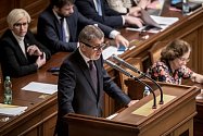 Jednání Sněmovny o žádost o vyslovení souhlasu s trestním stíhání poslanců Andrej Babiš a Jaroslava Faltýnka 19. ledna v Praze. Babiš