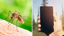 Může nás mobilní aplikace ochránit proti bodnutí komárem? Některé aplikace tvrdí, že ano.