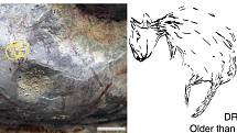 Další kresby, které vědci v australských jeskyních objevili.