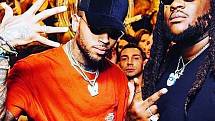 Americký zpěvák a rapper Chris Brown