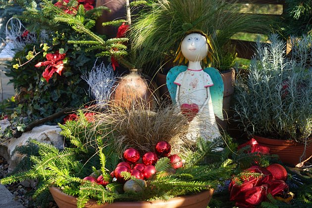 Dotek Vánoc v Zahradnickém centru Marciánová v Kostelci na Hané