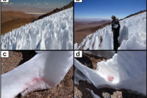 Kajícníci v Andách obsahují sněžné řasy, zjistili vědci