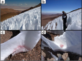 Kajícníci v Andách obsahují sněžné řasy, zjistili vědci
