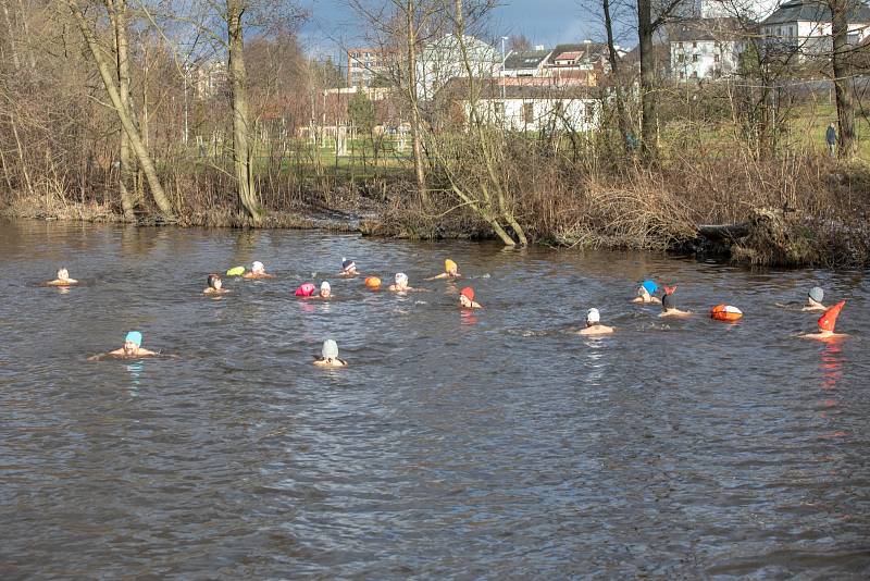 Třetí ročník otužování ve Žďáře nad Sázavou.