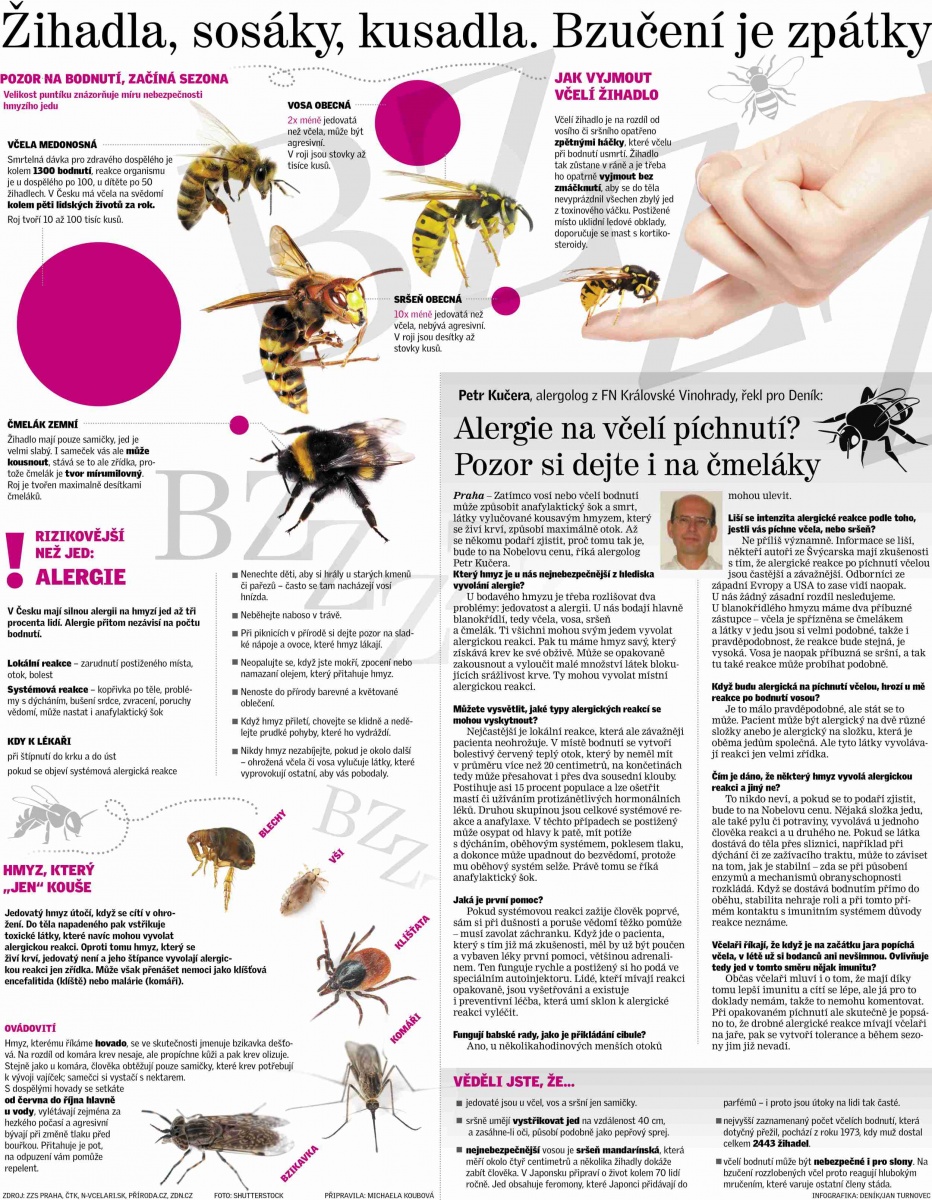 Jak poznat alergii na včely?