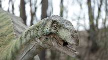 Ve vyškovském Dinoparku najdete desítky modelů roztodivných tvorů, kteří obývali naši planetu před miliony let.