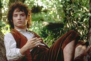 Elijah Wood jako Frodo Pytlík