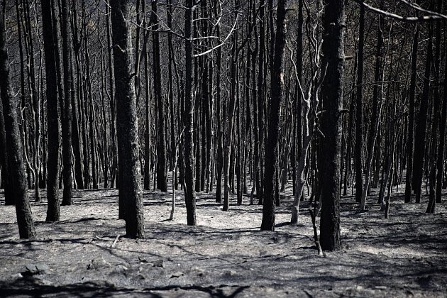 Požáry v Řecku hoří dvanáctý den. V parku Dadia shořelo území větší než New York