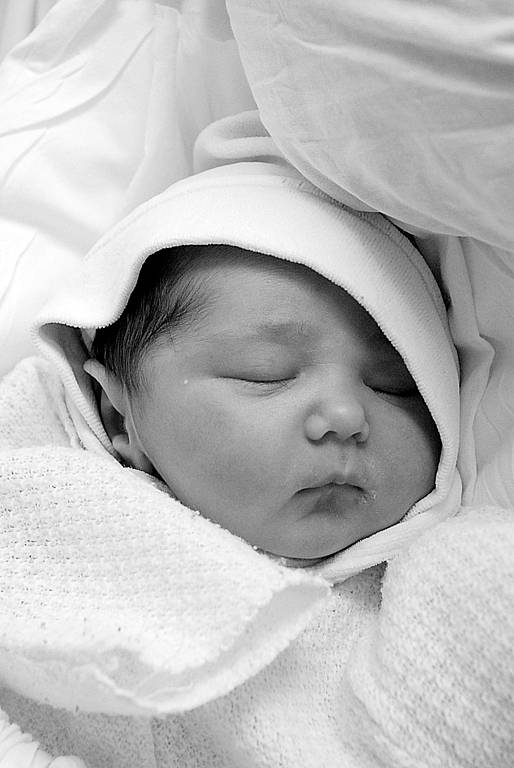 Anna Daňková, 9. 4. 2008, 49 cm, 3300 g, Fakultní Thomayerova nemocnice