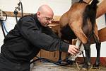 Fotoreportér Deníku pracoval na soukromé kozí farmě Nová Víska u Dolní Poustevny na Děčínsku v rámci reportáže Na vlastní kůži. Na starost měl třicet koz, dojil je a krmil. 