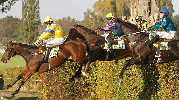 Velká pardubická 2015: Taxis