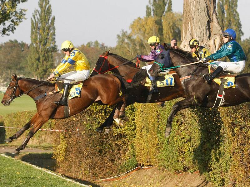 Velká pardubická 2015: Taxis