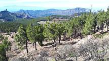 Gran Canaria. V pozadí je vidět sousední ostrov Tenerife.