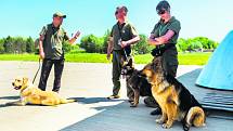 LABRADOR S PSOVODEM. Psi kromě drog a zbraní umí vyčenichat i chemikálie v paměťových médiích. 