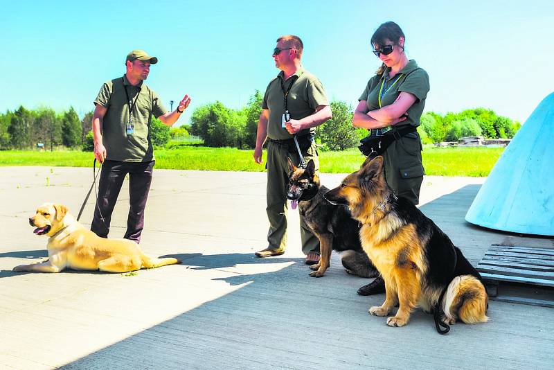 LABRADOR S PSOVODEM. Psi kromě drog a zbraní umí vyčenichat i chemikálie v paměťových médiích. 