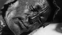 Slavná mumie tzv. Tolllundského muže, pocházejícího z doby železné, která byla nalezena v roce 1950 v rašeliništi v Dánsku
