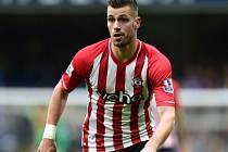 Morgan Schneiderlin