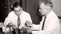 Profesor Selman Waksman a jeho žák Albert Schatz, objevitelé léku na tuberkulózu streptomycinu