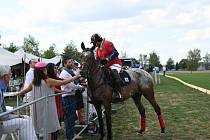 Prague Polo Cup: Snímek z loňského ročníku