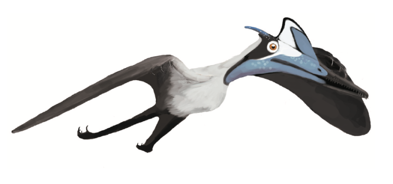 Jedna z ilustrací ptakoještěrů, neboli pterosaurů. Na snímku největší z pterosaurů, jací v pravěku žili.