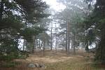 Další vikingské pohřebiště se nachází poblíž Broby bro ve farnosti Täby ve švédském Upplandu