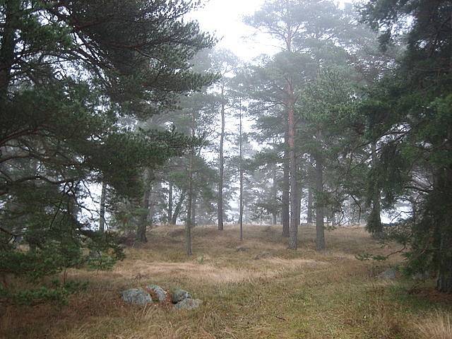 Další vikingské pohřebiště se nachází poblíž Broby bro ve farnosti Täby ve švédském Upplandu