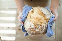 Zatímco v době koronavirových lockdownů nakupovali Češi převážně balený chléb v supermarketech, nyní si jej chtějí opět více vychutnat. Roste proto zájem o nejrůznější speciály.