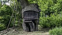 Žižkův dub stráží silnici vedoucí na zámek v Náměšti nad Oslavou na Vysočině. Své jméno dostal na počest dvou husitských výprav, které se pokoušely dobýt nedaleký hrad Lichnice.