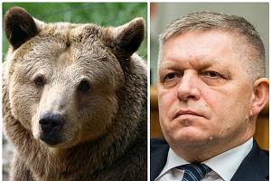 Robert Fico (vpravo) chce v případě vítězství v parlamentních volbách povolit plošné střílení medvědů
