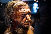 Větší nos může souviset s neandertálskou DNA, soudí vědci