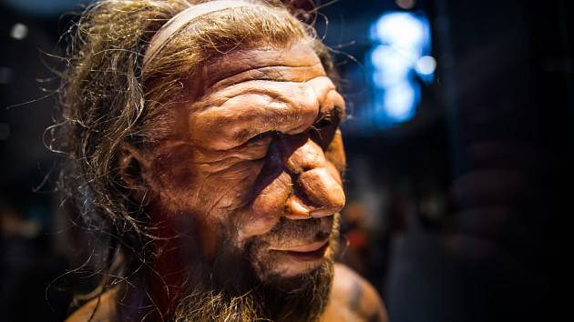 Větší nos může souviset s neandertálskou DNA, soudí vědci